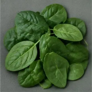 Espinaca